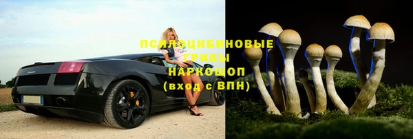 гидропоника Майский