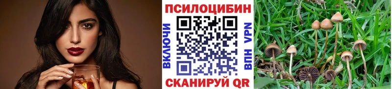 Галлюциногенные грибы Psilocybe  Острогожск 
