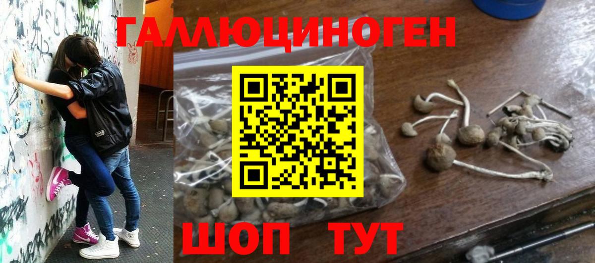 Острогожск  Псилоцибиновые грибы мицелий  Псилоцибиновые грибы мухоморы  Вход с VPN 
