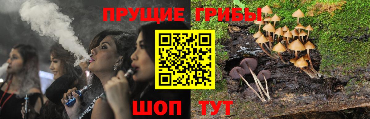 Галлюциногенные грибы Magic Shrooms Острогожск